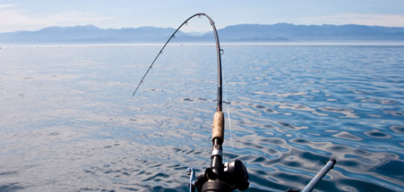 Finding leads